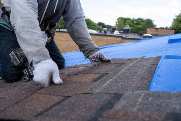 Roof Gutter Cleaning in Bessemer, MI