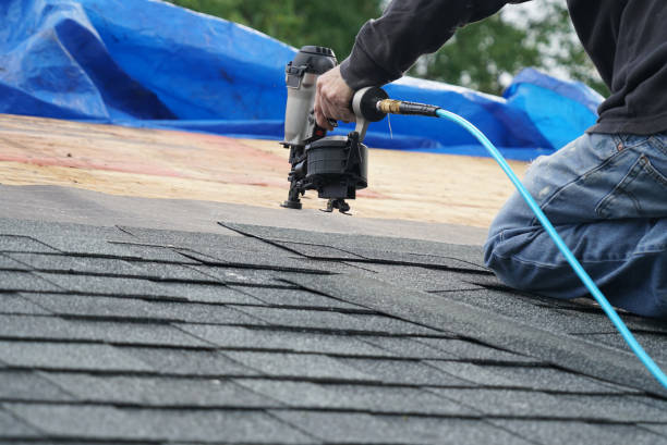 Best Roof Gutter Cleaning  in Bessemer, MI